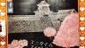 エニタイムフィットネス金沢有松店は桜満開です！
